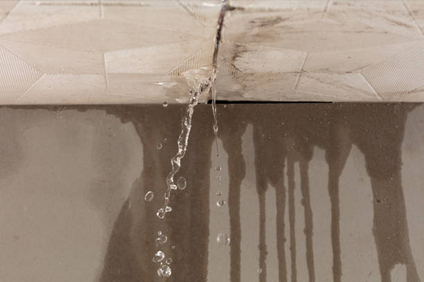 Professional Structural Drying technician working in Dover, NH